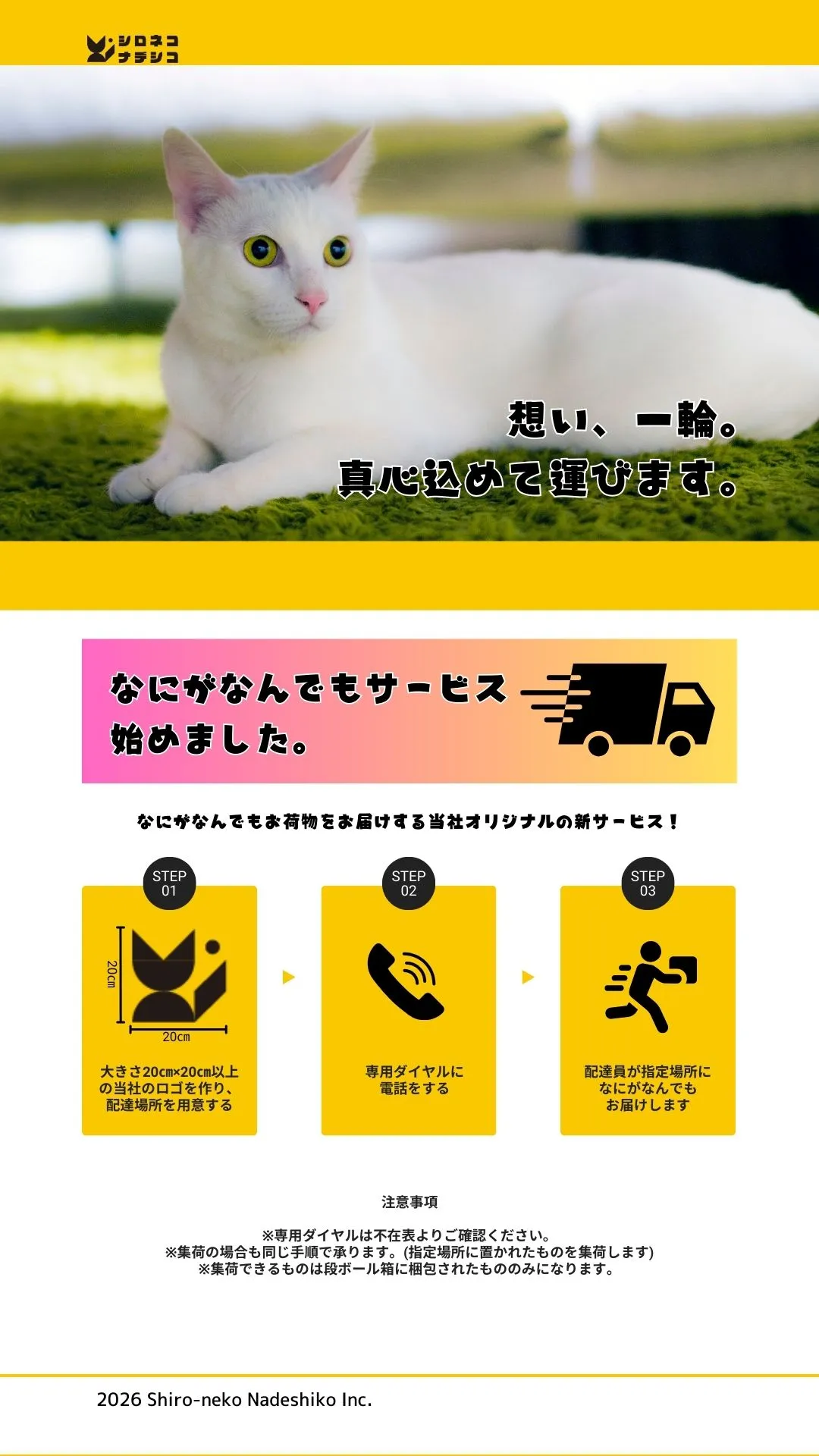 シロネコナデシコ